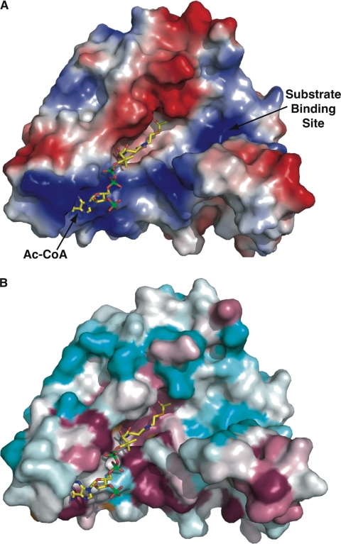 FIGURE 7.