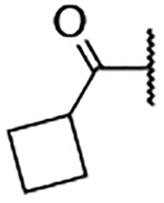 graphic file with name nihms-1580926-t0016.jpg