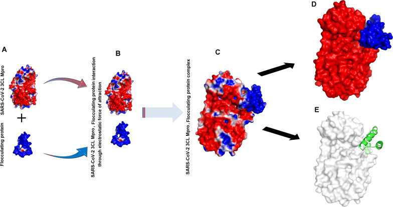 FIGURE 4