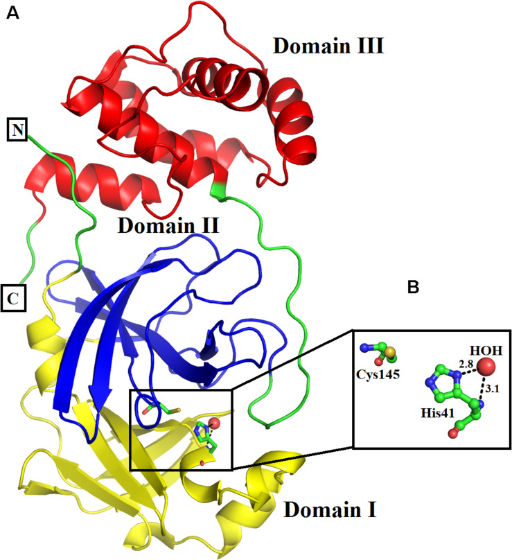 FIGURE 1