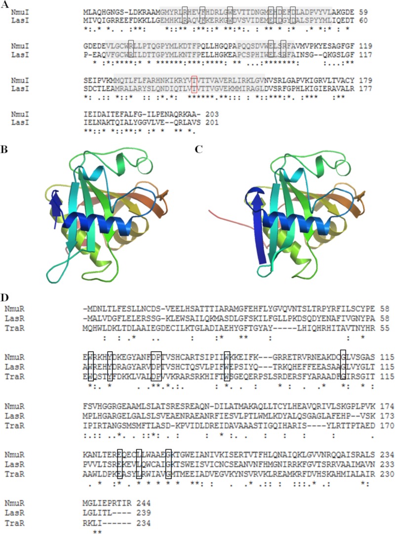 FIG 1