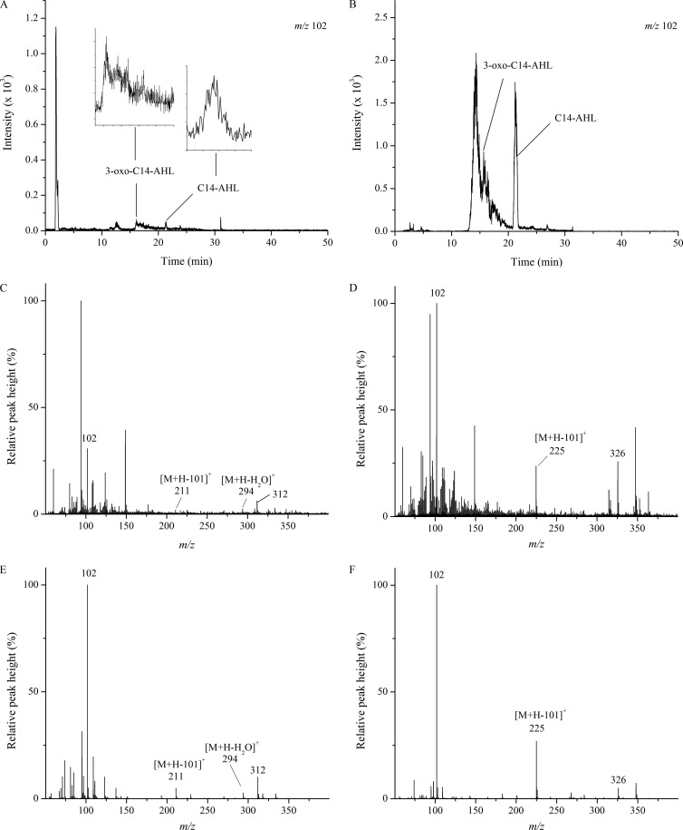 FIG 3