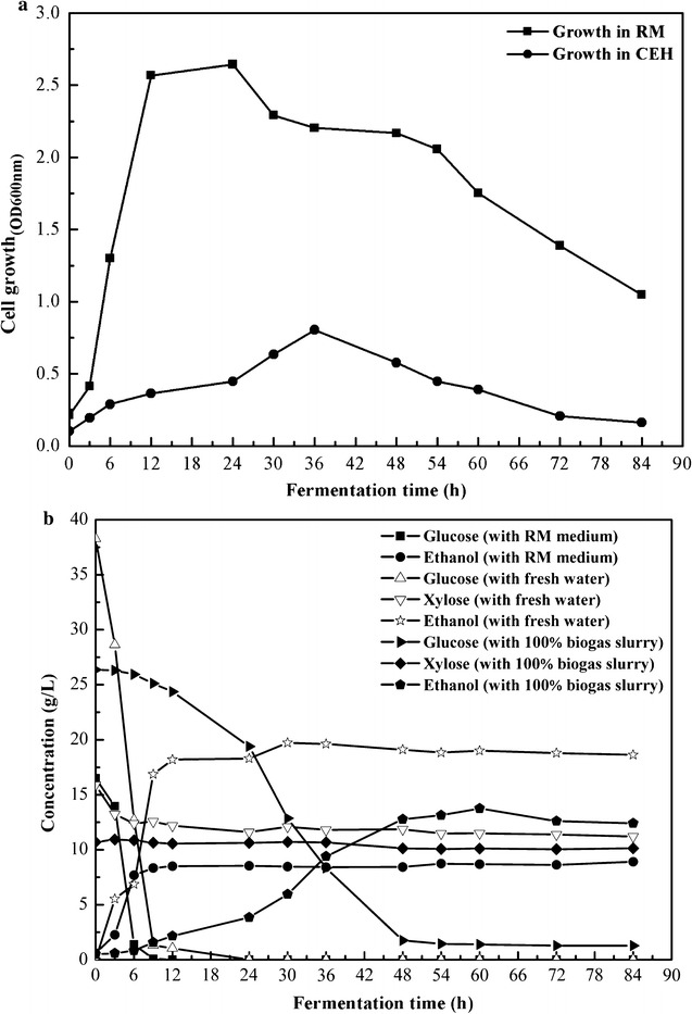 Fig. 3