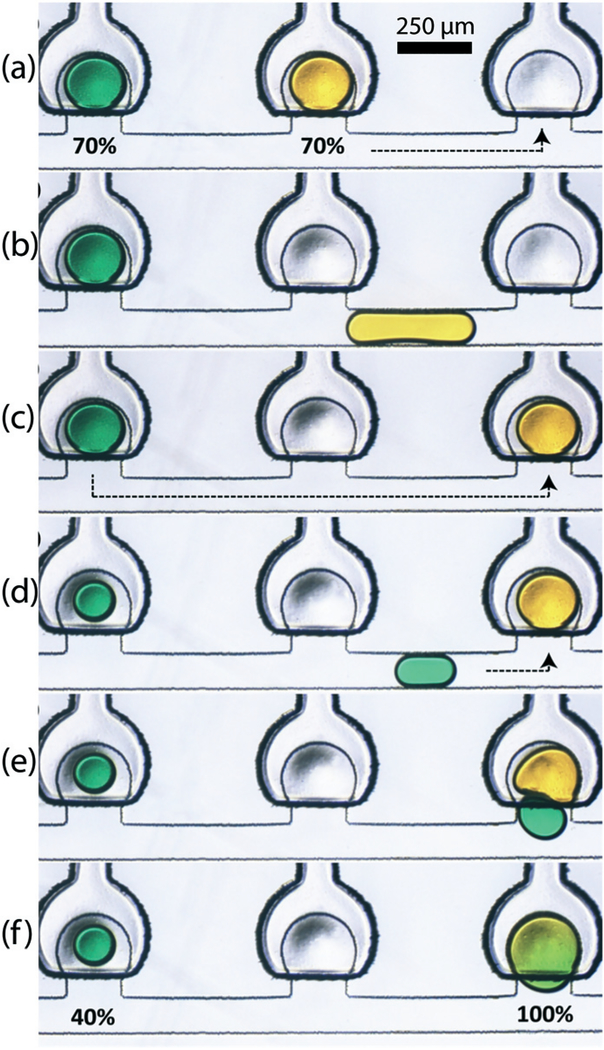 Fig. 12