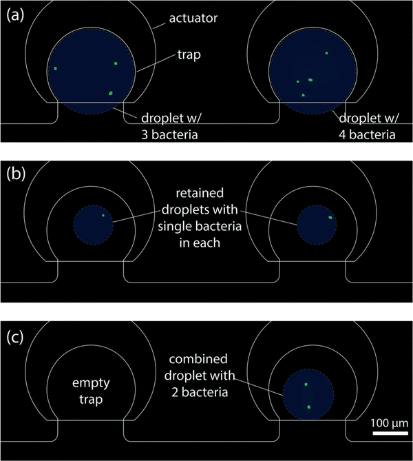 Fig. 13