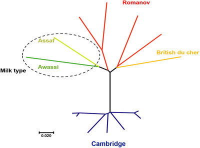 FIGURE 2