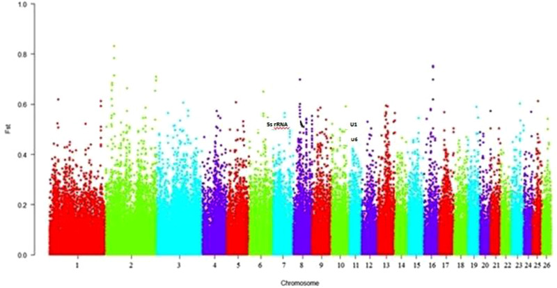 FIGURE 4