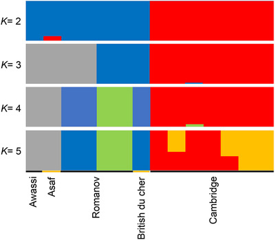 FIGURE 3