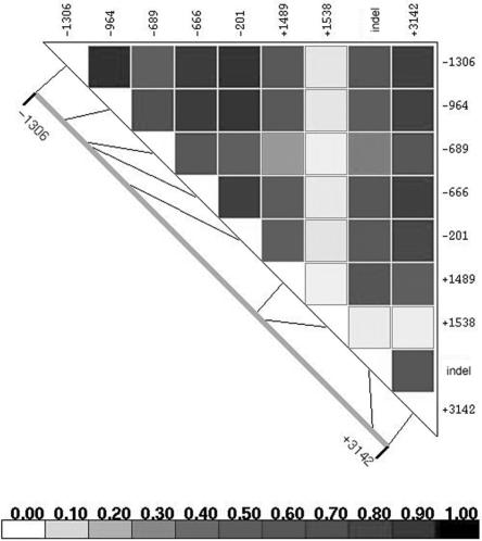 Figure  1. 