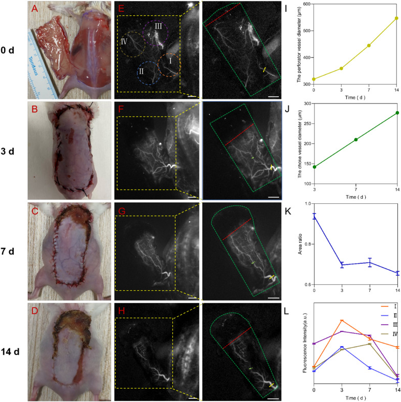 Fig. 4