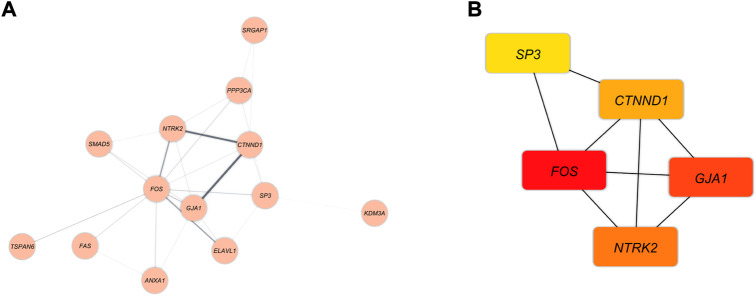 FIGURE 6