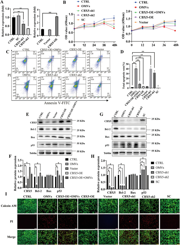 FIG 6