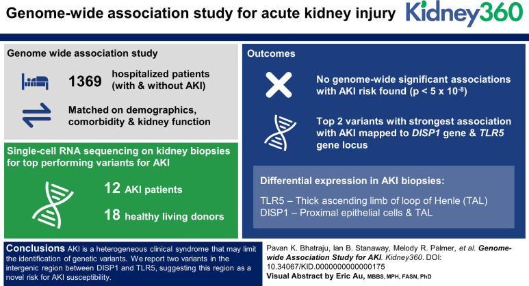 graphic file with name kidney360-4-0870-g001.jpg