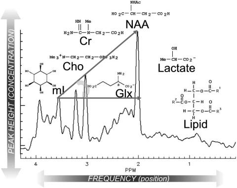 FIG. 1.