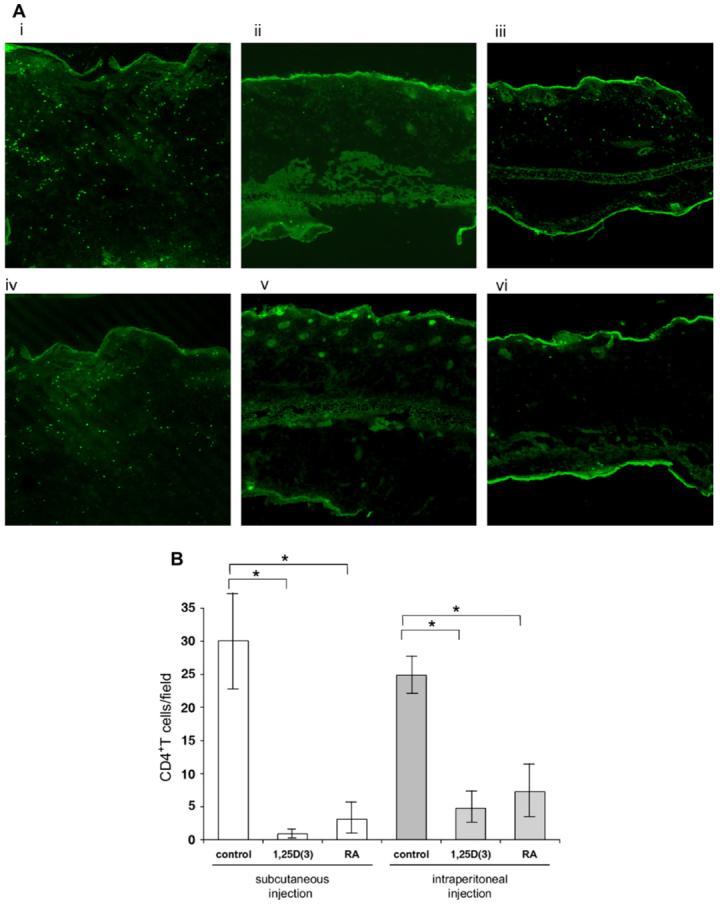 FIG 6