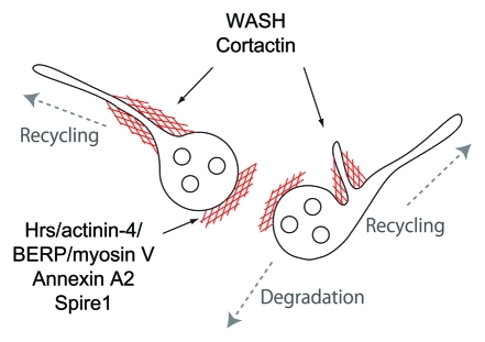 Figure 2.