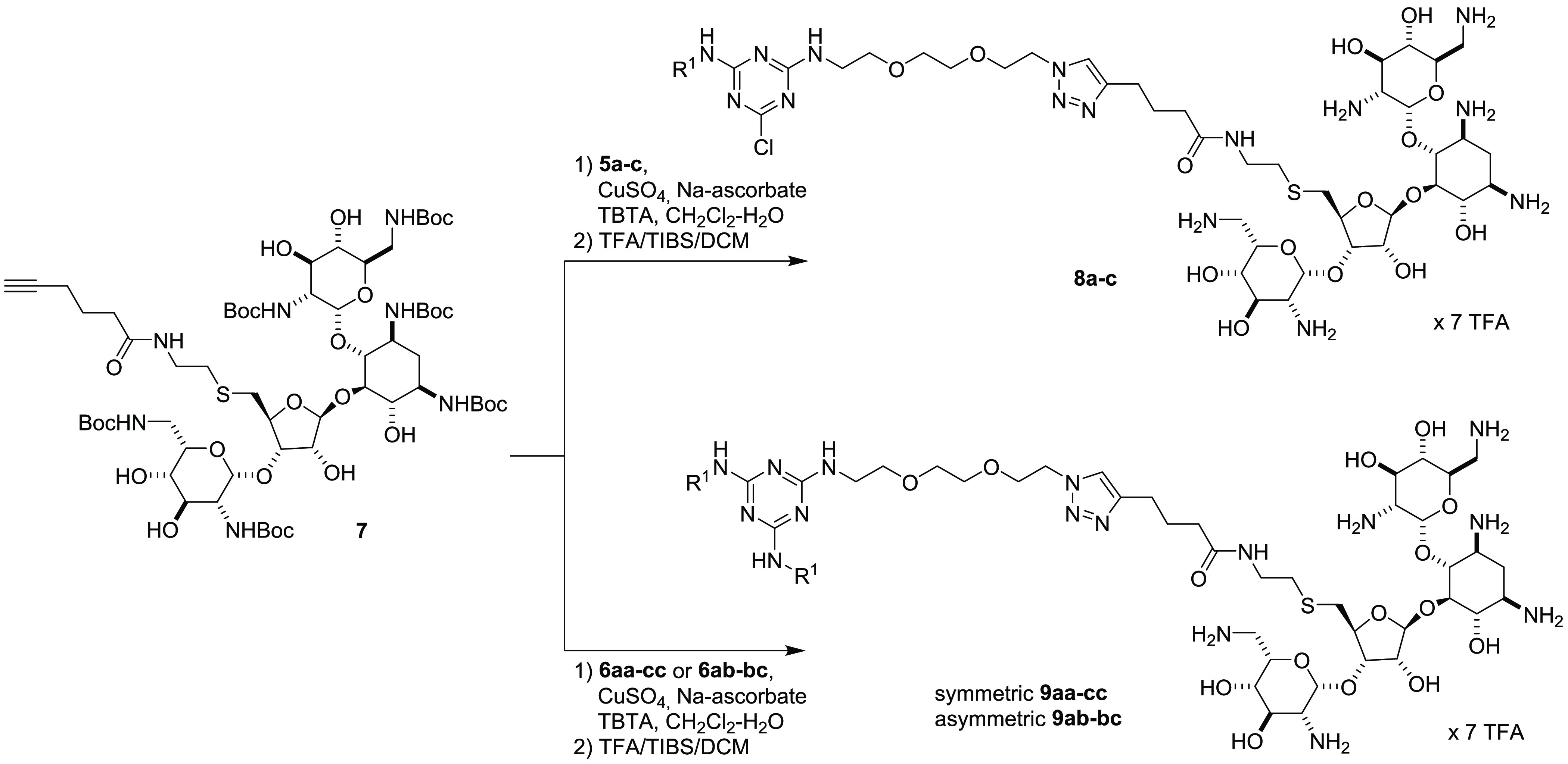 Scheme 2