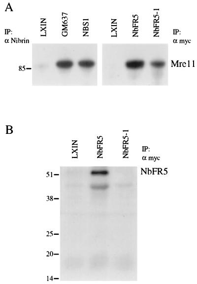 FIG. 3