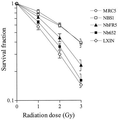 FIG. 6