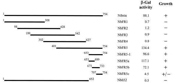 FIG. 1