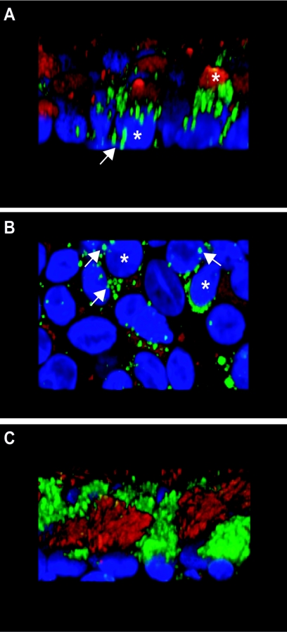 FIG. 4.