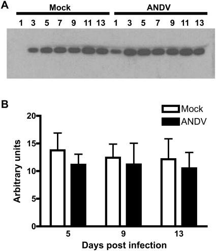 FIG. 5.