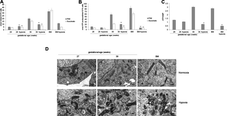 Fig. 8