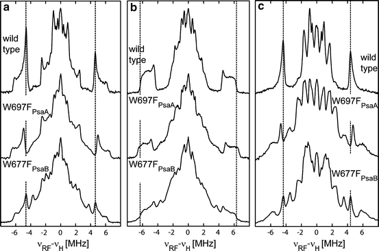 Fig. 5