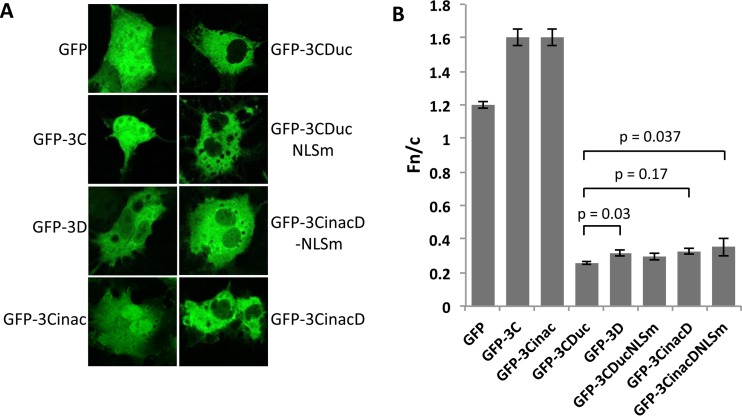 FIG 2