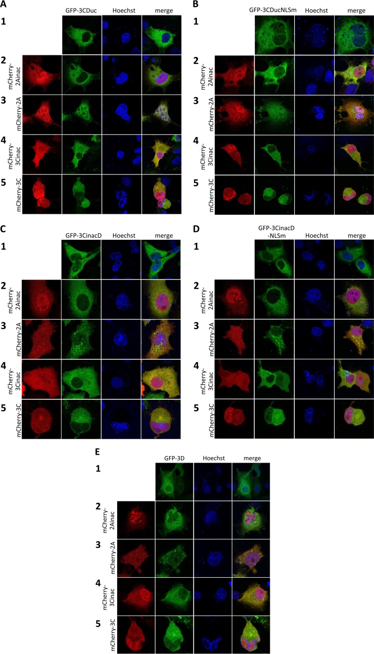 FIG 4