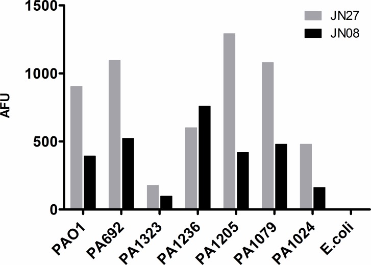 Fig 5