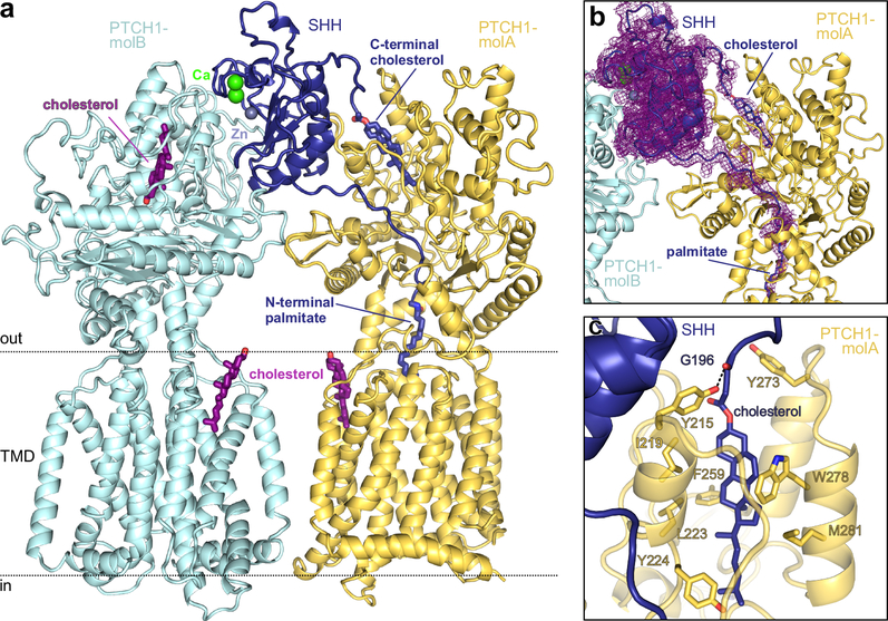 Figure 2 |