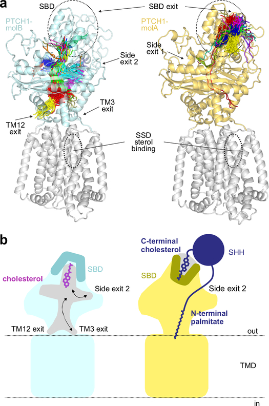 Figure 6 |