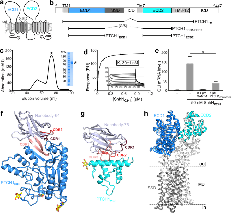 Figure 1 |