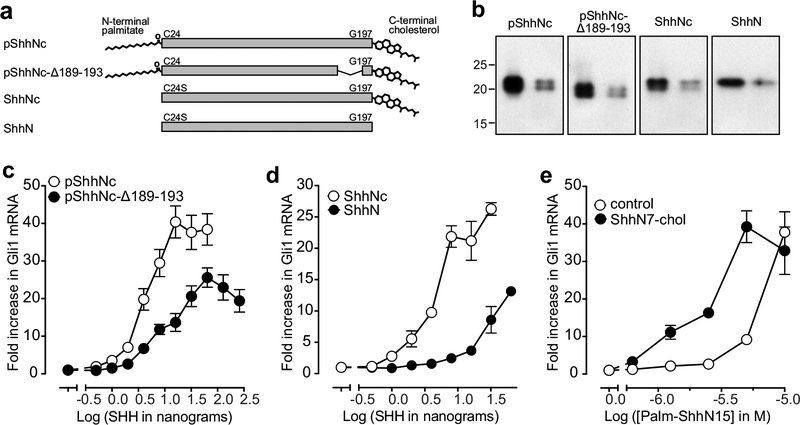 Figure 4 |