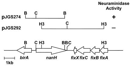 FIG. 1