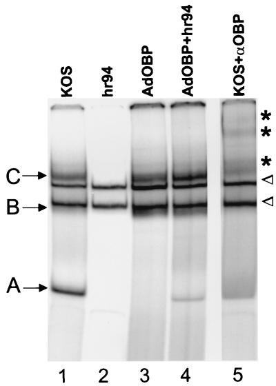 FIG. 6