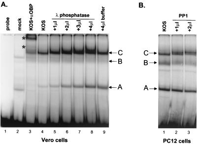 FIG. 7