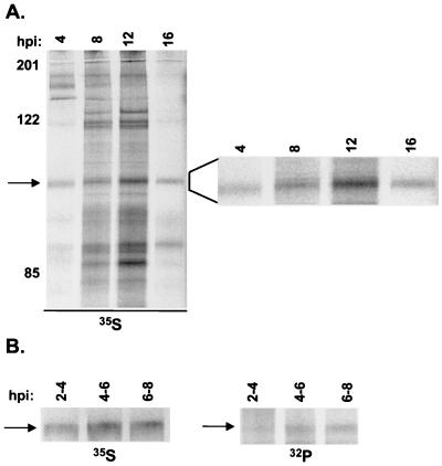 FIG. 3