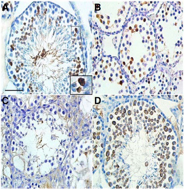 Fig. 7.