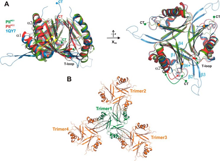 FIGURE 1.