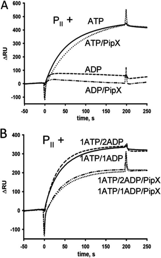 FIGURE 9.