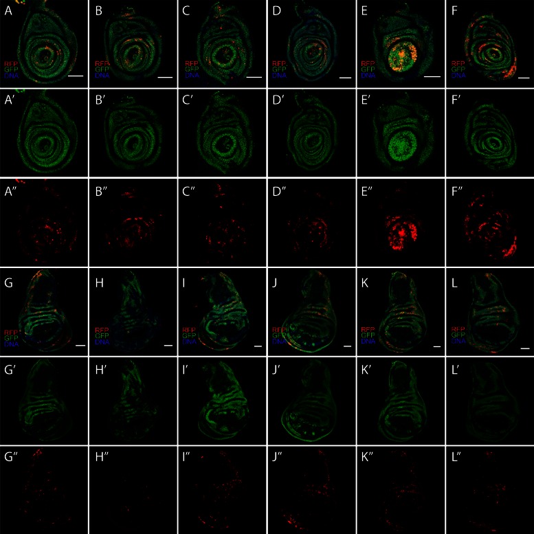 Figure 3—figure supplement 3.