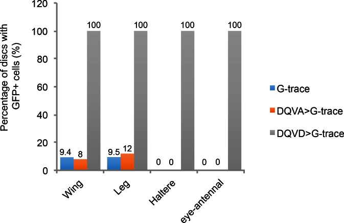 Figure 3—figure supplement 1.