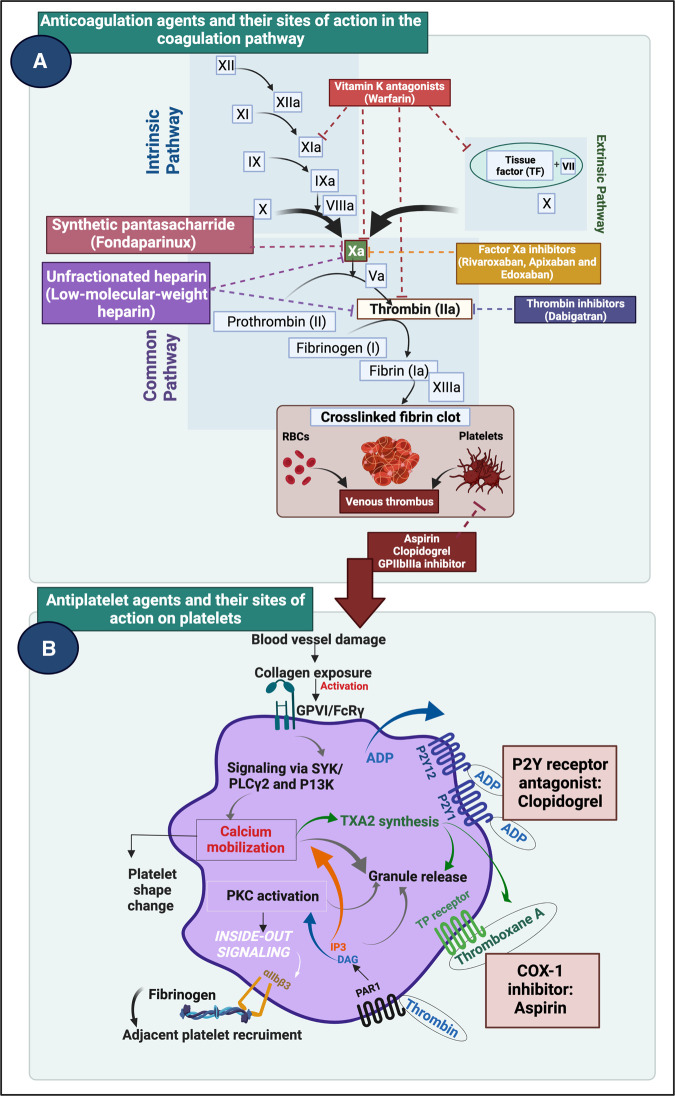 Figure 12.