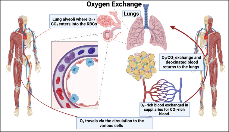 Figure 6.