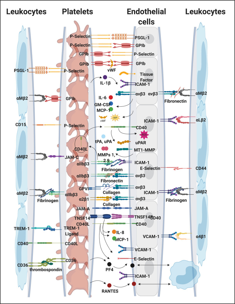 Figure 10.