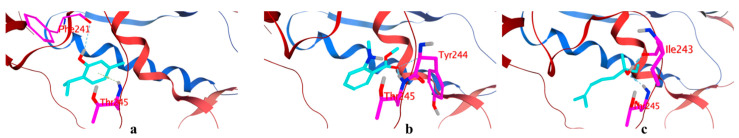 Figure 5