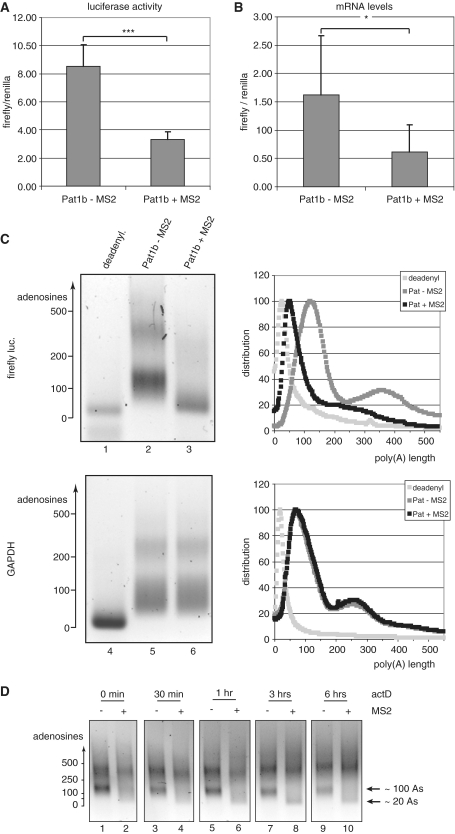 Figure 5.