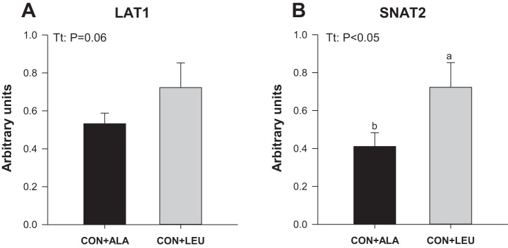 Fig. 10.